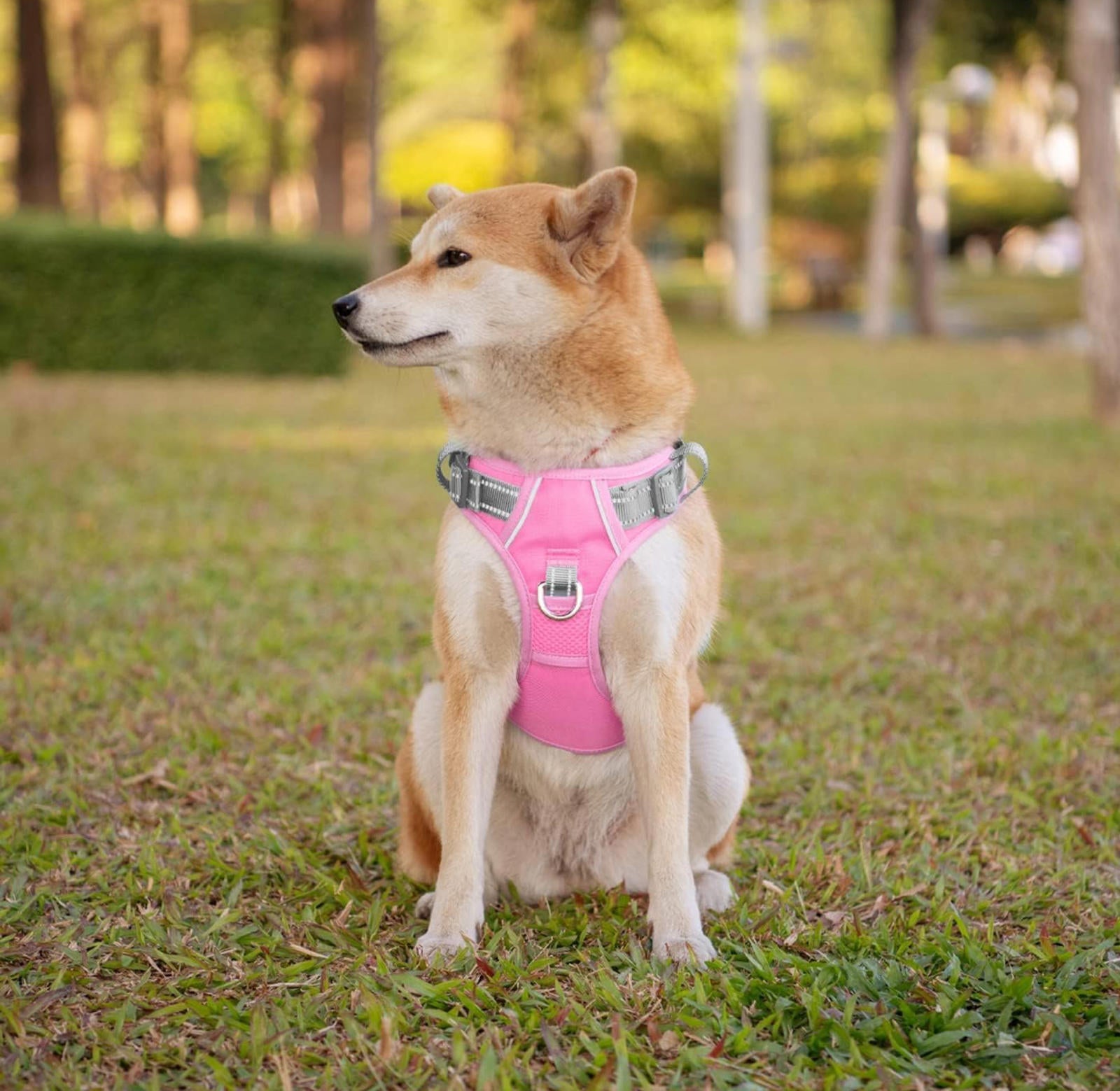 (MSRP $29.99) No-Pull Reflective Dog Harness Vest, Baby Pink/Grey, MEskimo