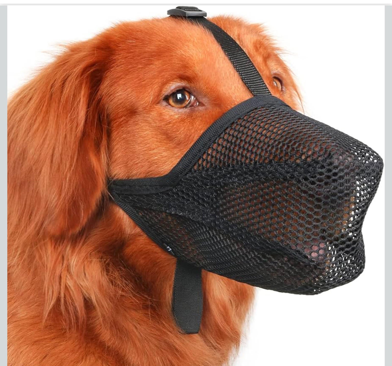 (NEW MSRP $19.95) Mayerzon Soft Mesh Dog Muzzle (XS) – Lightweight & Breathable