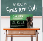 (MSRP $39.97) Capstar Oral Flea Treatment for Dogs Over 25 lbs – 6 Doses