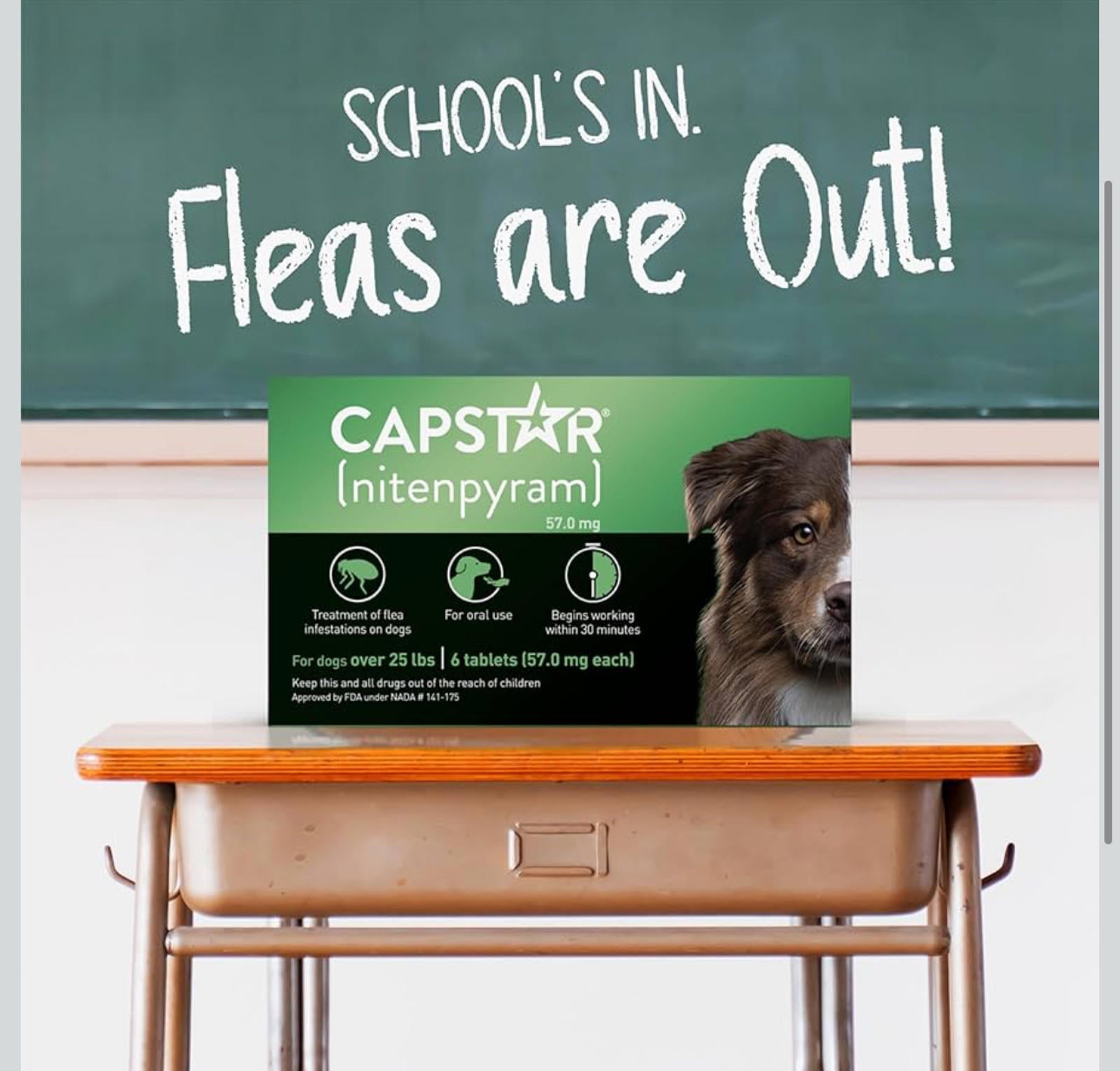 (MSRP $39.97) Capstar Oral Flea Treatment for Dogs Over 25 lbs – 6 Doses