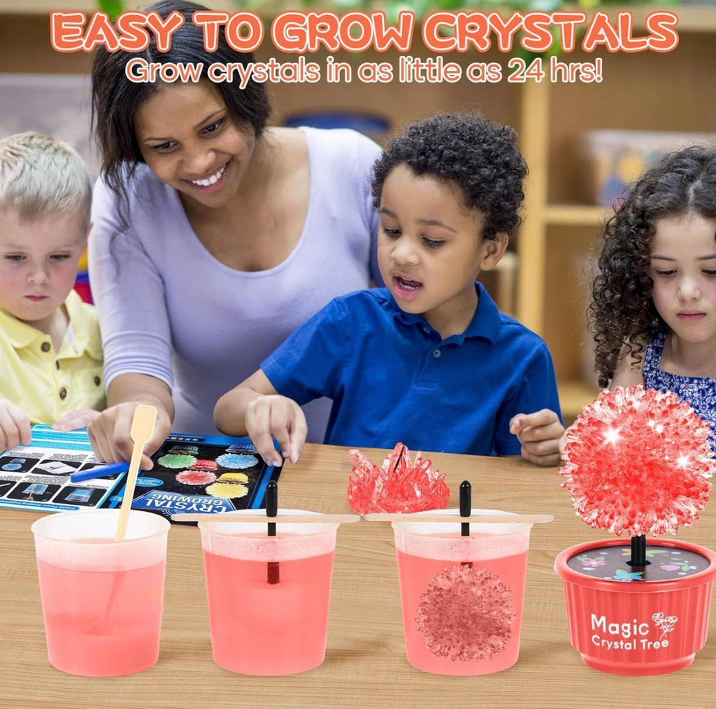 (NEW, MSRP 24.99$) 4 Color 24-Hour Crystal Growing Kit, STEM Education DIY Kit