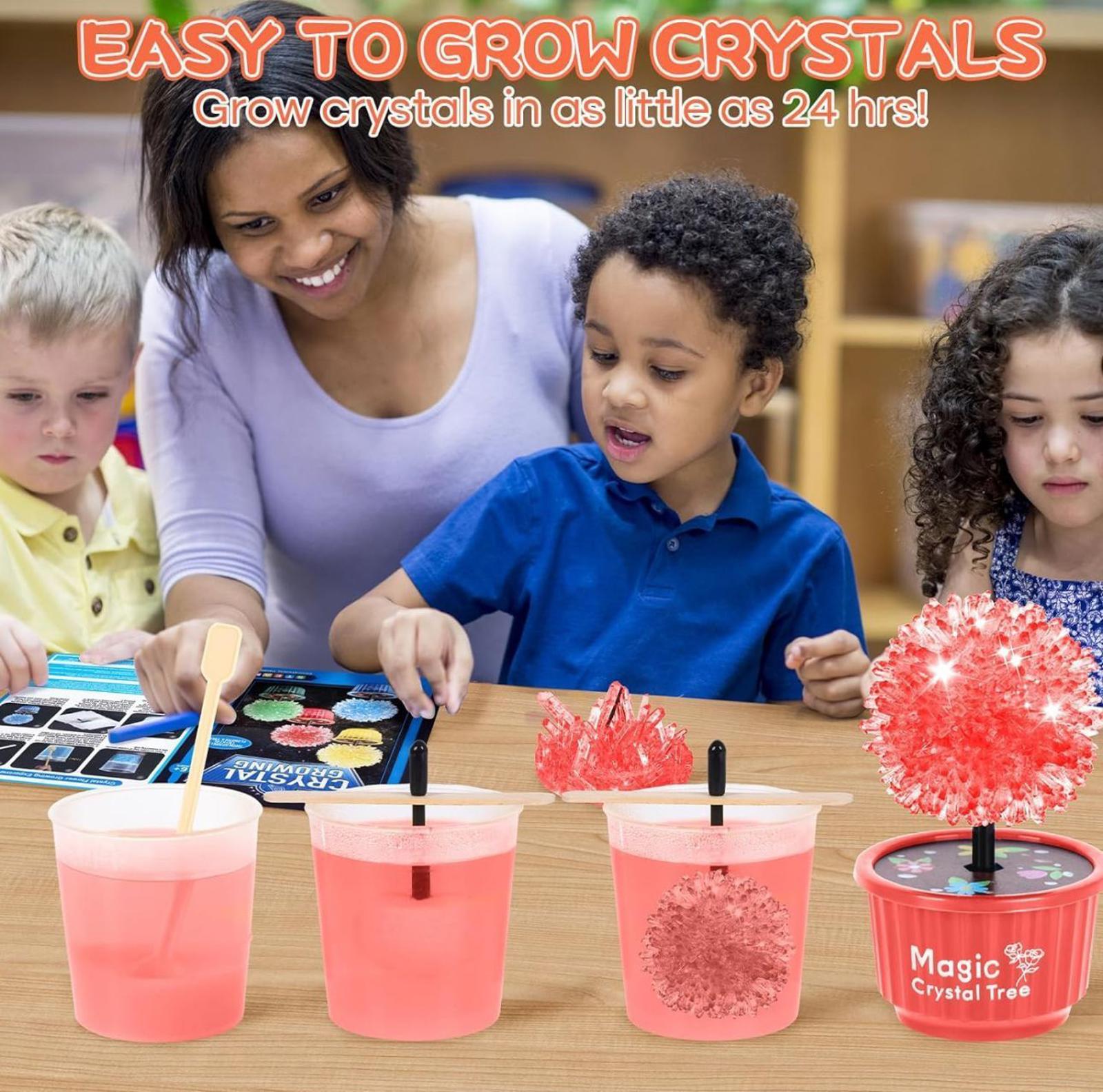 (NEW, MSRP 24.99$) 4 Color 24-Hour Crystal Growing Kit, STEM Education DIY Kit