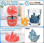 (NEW, MSRP 24.99$) 4 Color 24-Hour Crystal Growing Kit, STEM Education DIY Kit