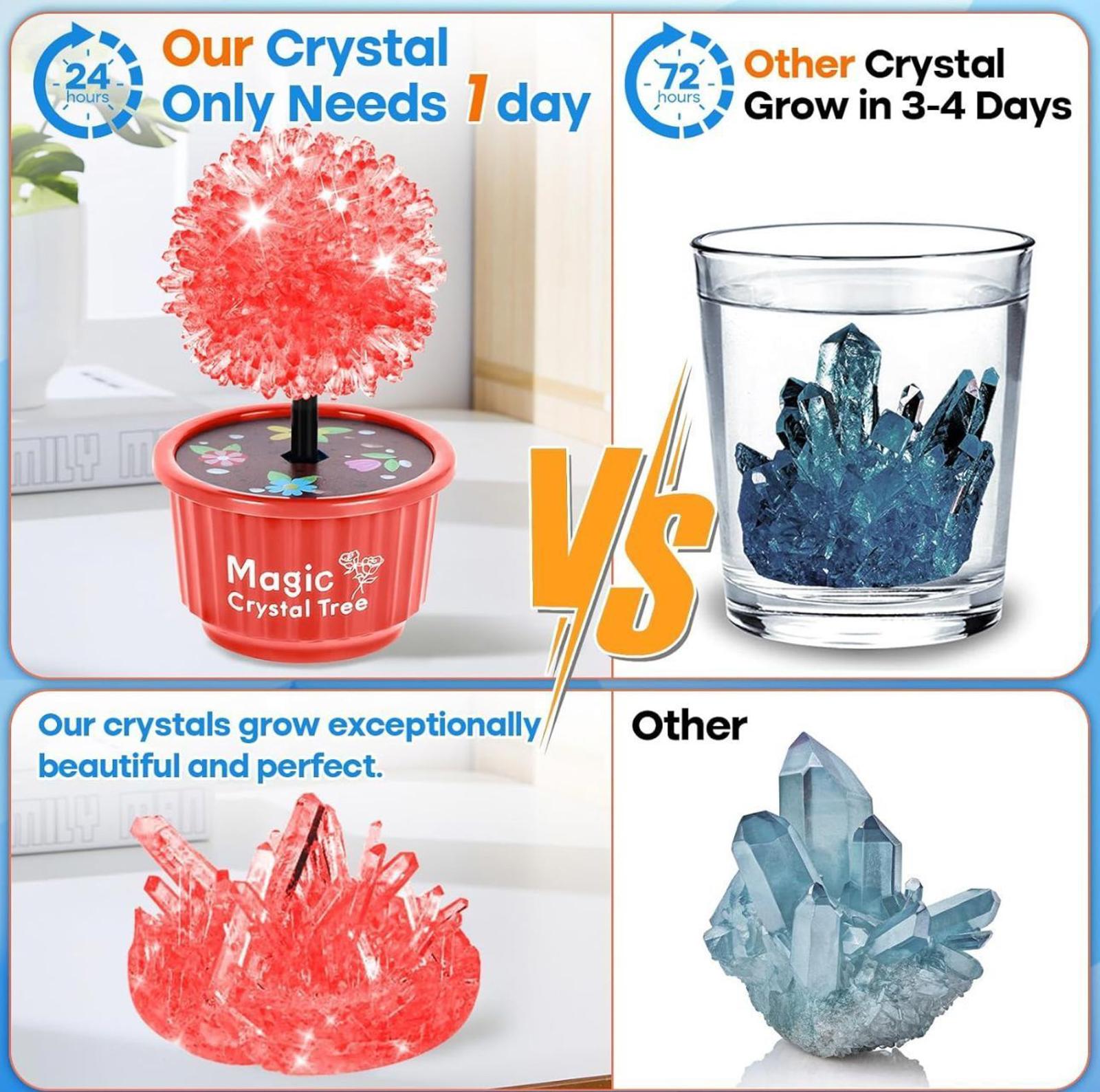 (NEW, MSRP 24.99$) 4 Color 24-Hour Crystal Growing Kit, STEM Education DIY Kit
