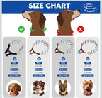 (NEW MSRP 24.99) Supet Prong No‑Pull Training Collar – Small (14-16” neck) Dogs