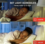 (New) Sengled Premium Smart WiFi LED Light Bulb 2 Pack