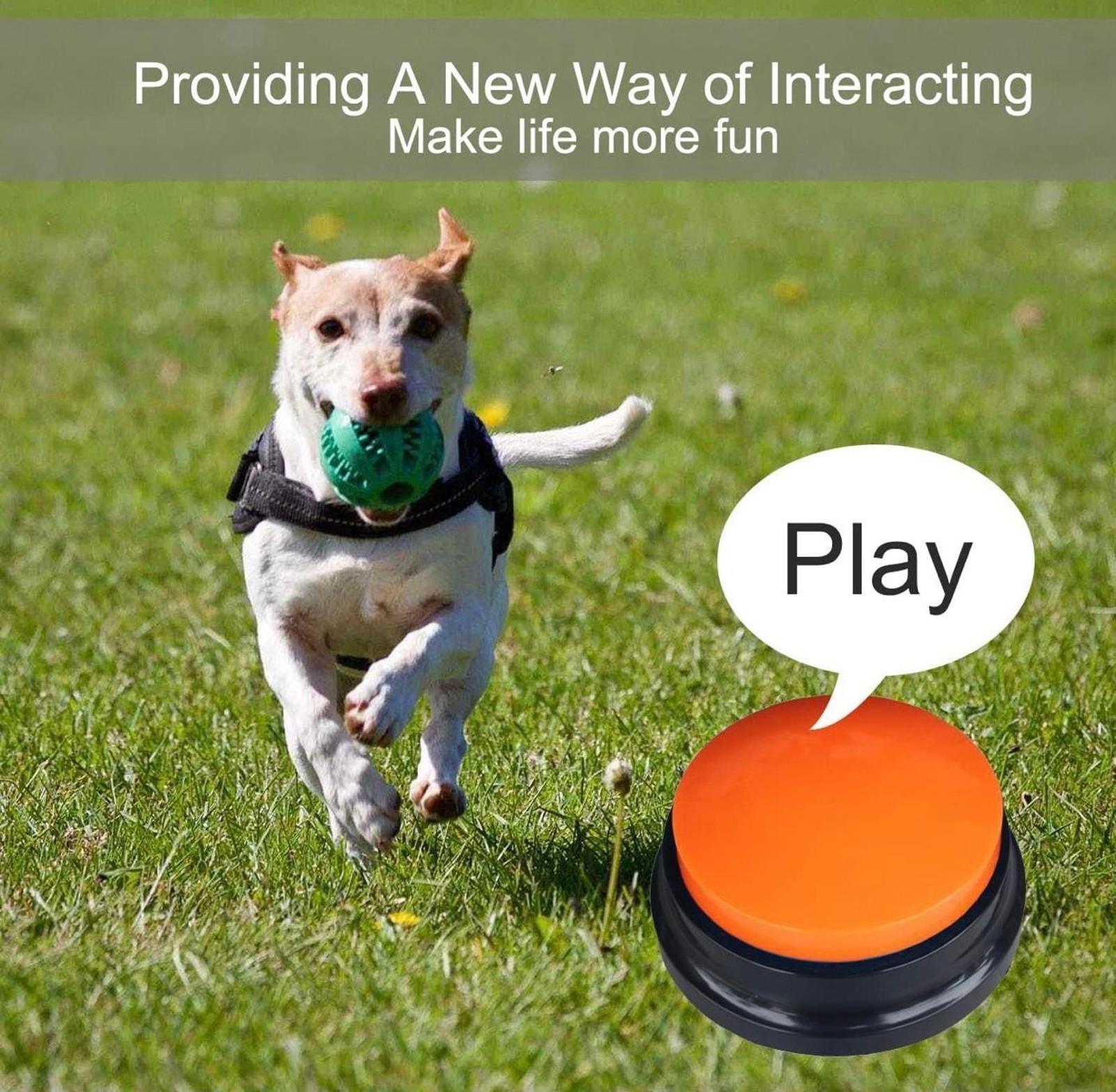 (NEW MSRP $19.99) 4 Color Voice Recording Button, Dog Buttons for Pet Training